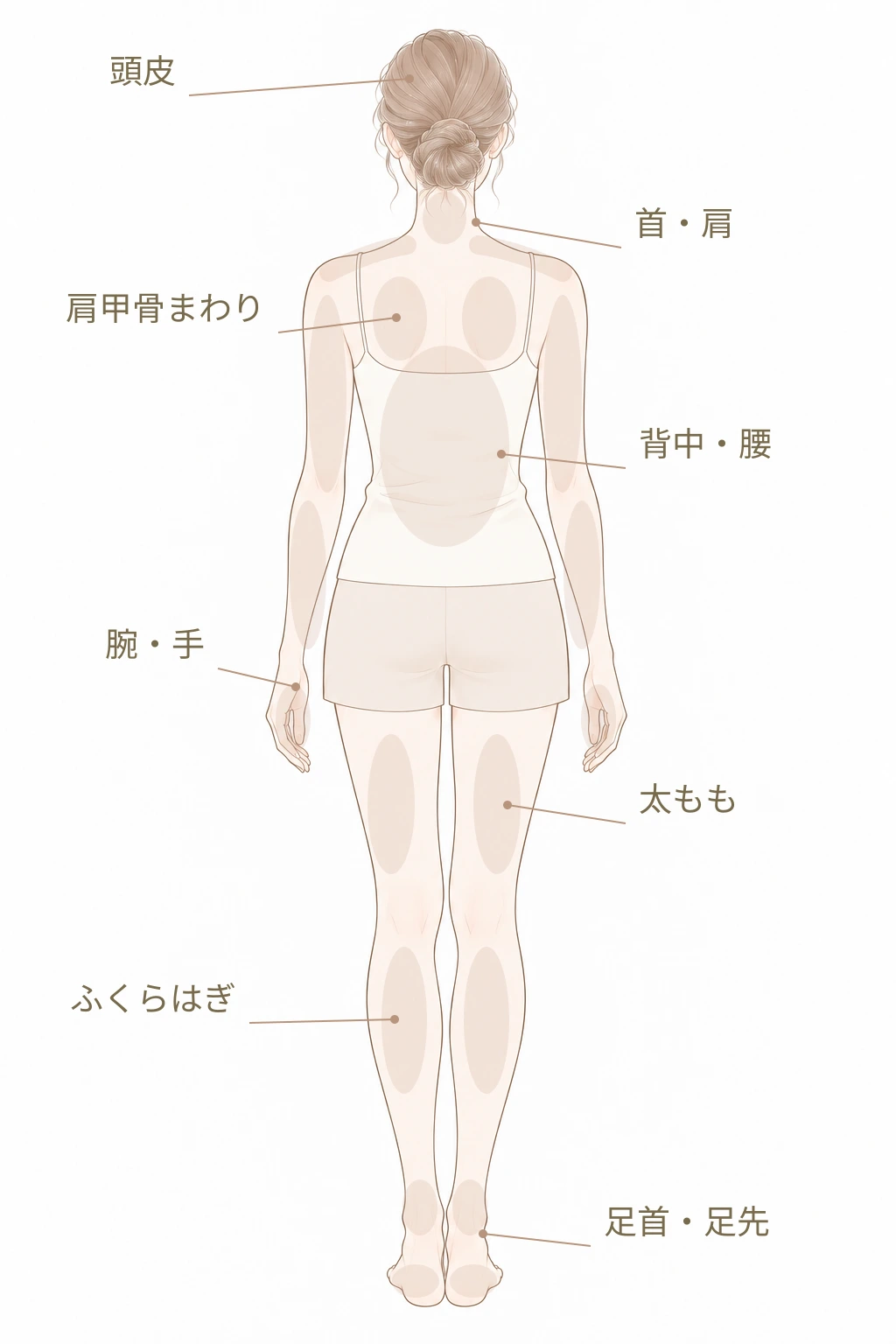 背面:頭皮、首、肩、肩甲骨まわり、背中、腰、腕、手、太もも、ふくらはぎ、足首、足先の施術部位