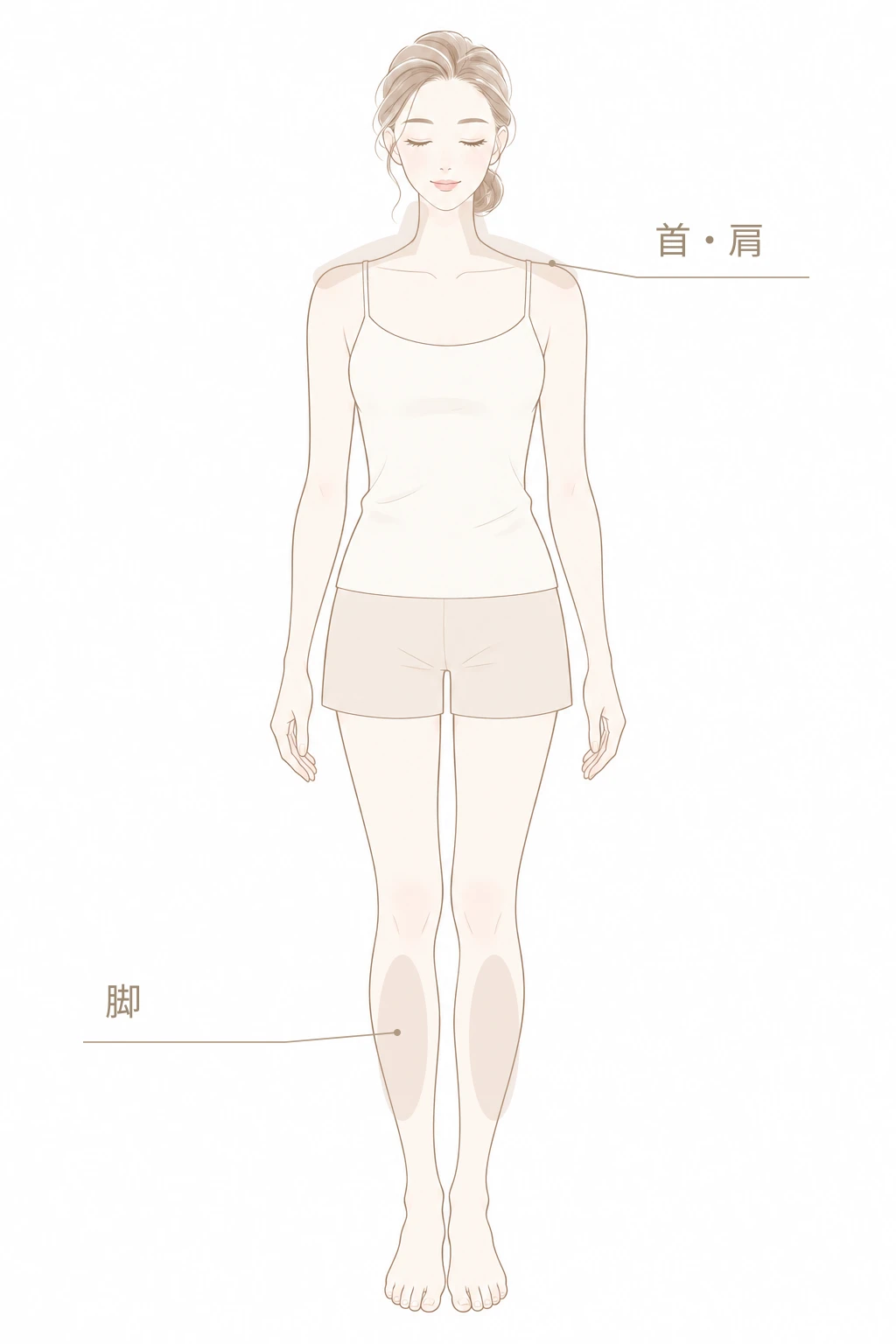首肩と脚の部位を示す説明図